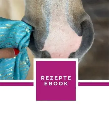 REZEPTE EBOOK