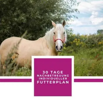 30 TAGE NACHBETREUUNG