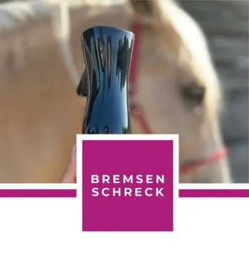 BREMSENSCHRECK