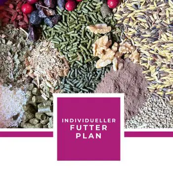 INDIVIDUELLER FUTTERPLAN