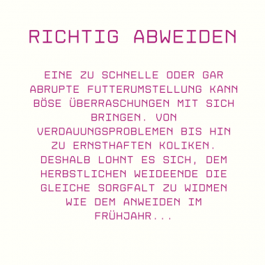 Pferde richtig abweiden: Tipps für eine sichere Futterumstellung