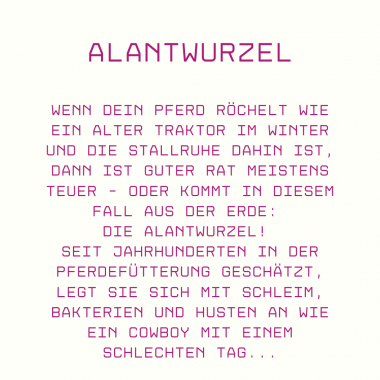 Pferdehusten - So hilft die Alantwurzel bei Atemwegserkrankungen