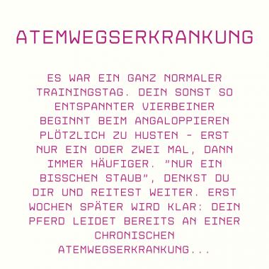 Wenn Pferde husten:  Alles über Atemwegserkrankungen und Prävention