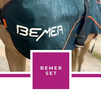 BEMER Horse Set