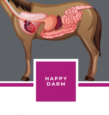 HAPPY DARM EBOOK