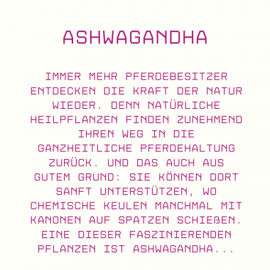 Ashwagandha für Pferde: Wirkung, Anwendung & Tipps zur Dosierung