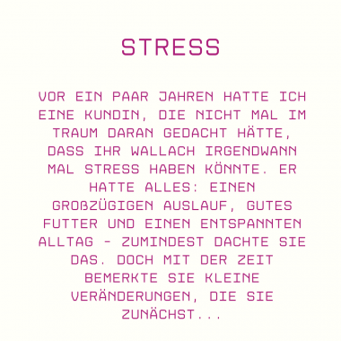 Stress bei Pferden - Ein persönliches Anliegen