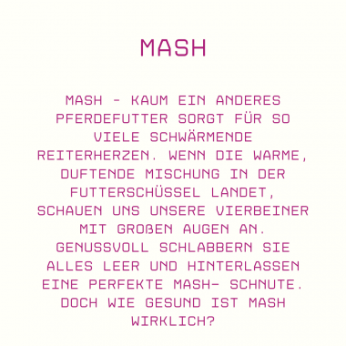 Mash für Pferde - Wohltuende Mahlzeit oder Zuckerbombe?