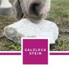 Salzleckstein