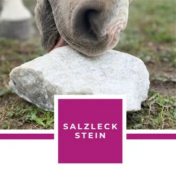 Salzleckstein