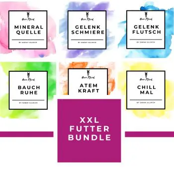XXL FUTTER BUNDLE