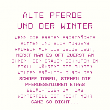 Von wegen altes Eisen: Seniorpferde gut durch den Winter bringen