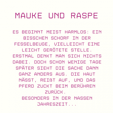 Mauke und Raspe beim Pferd natürlich in den Griff bekommen