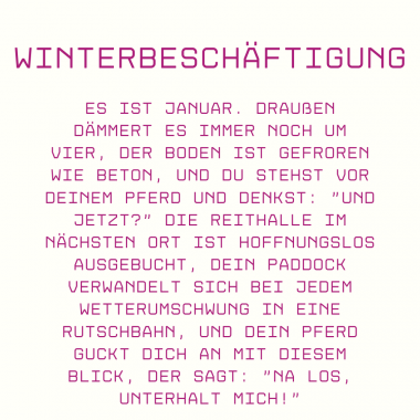10 einfache Wege, Pferde im Winter ohne Halle zu beschäftigen