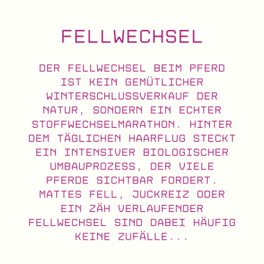 Fellwechsel beim Pferd naturnah unterstützen