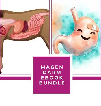 MAGEN & DARM EBOOK BUNDLE