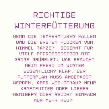 Pferde im Winter füttern: Der ultimative Guide für frostige Tage