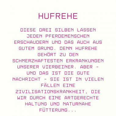 Hufrehe beim Pferd: Ursachen, Symptome & was wirklich hilft