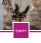KRANKHEITSKOMPASS EBOOK