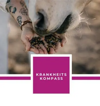 KRANKHEITSKOMPASS EBOOK