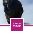 MUSKEL MIMIMI - PSSM FIBEL EBOOK