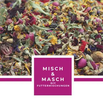 MISCH & MASCH EBOOK