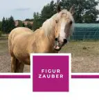 FIGUR ZAUBER EBOOK