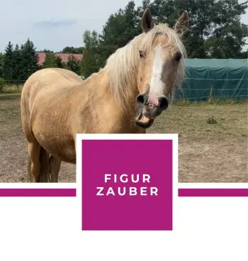 FIGUR ZAUBER EBOOK