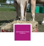 GRUNDRATIONSCHECK