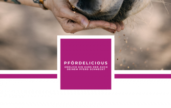 PFÖRDELICIOUS