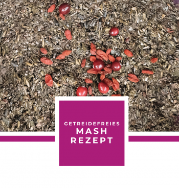 GETREIDEFREIES MASH REZEPT