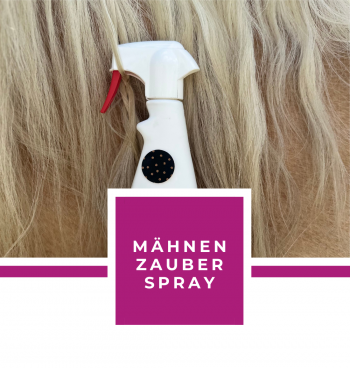 MÄHNENZAUER SPRAY