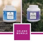 GELENK BUNDLE