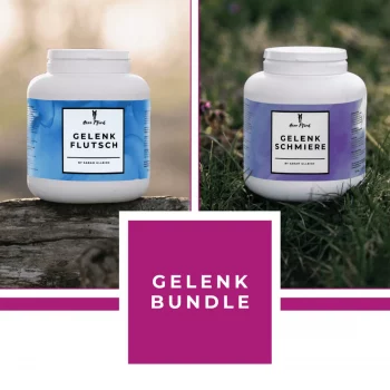 GELENK BUNDLE